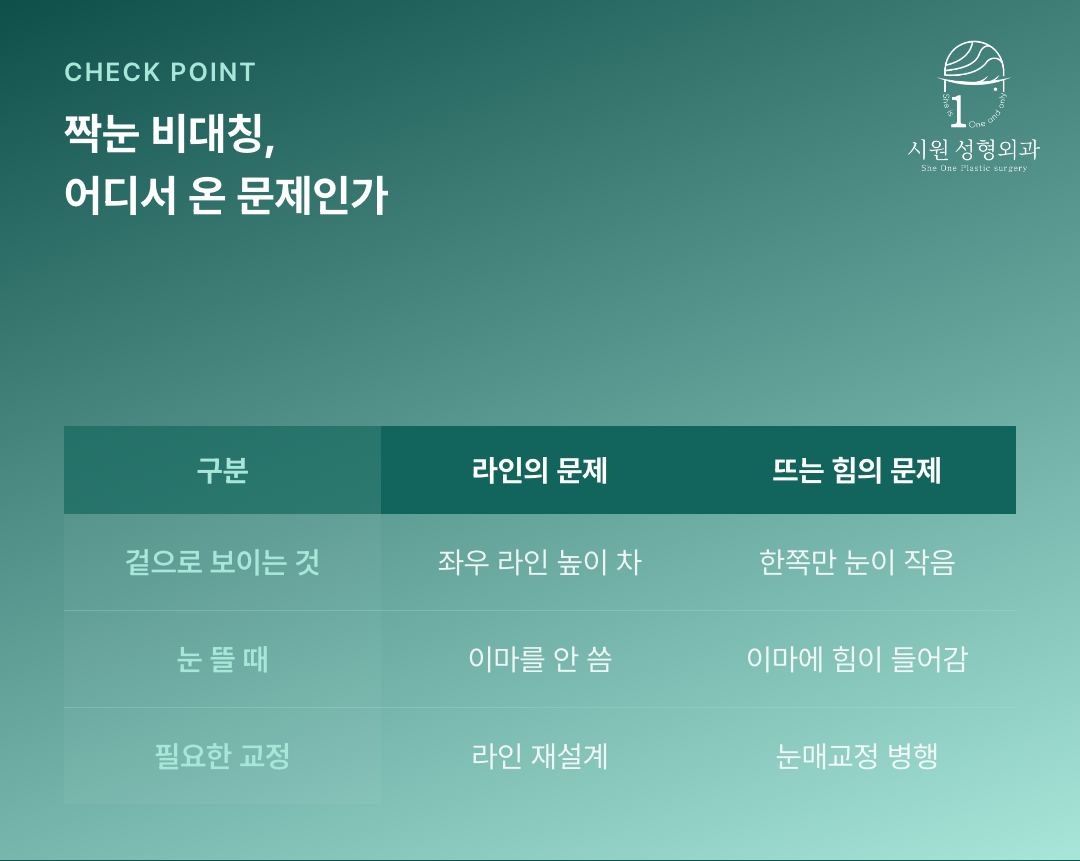 짝눈 비대칭이 라인 때문인 경우와 눈 뜨는 힘 때문인 경우를 비교한 표