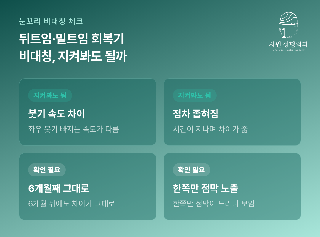 뒤트임 밑트임 회복 중 지켜봐도 되는 신호와 확인이 필요한 신호 카드