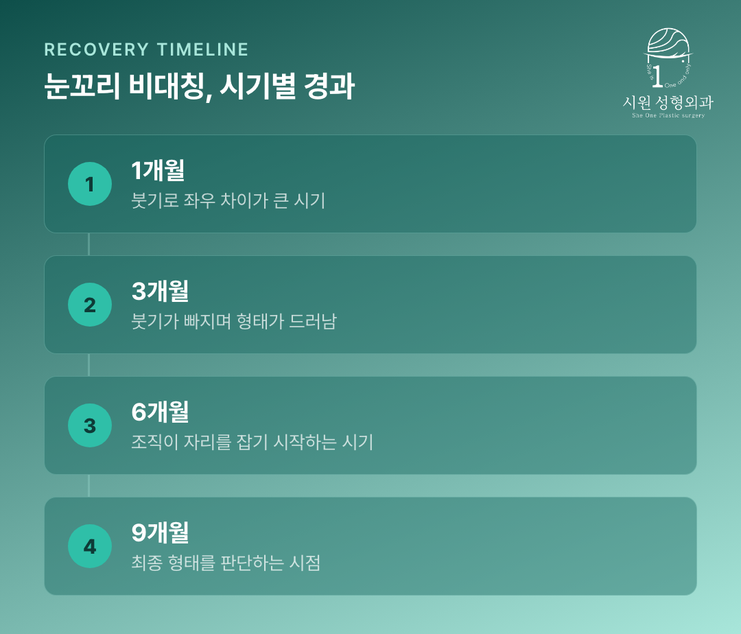 뒤트임 밑트임 후 1개월부터 9개월까지 시기별 회복 경과를 정리한 흐름도