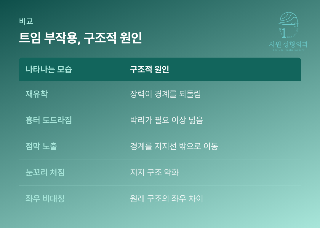 뒤트임 부작용 다섯 가지와 각각의 구조적 원인을 정리한 표