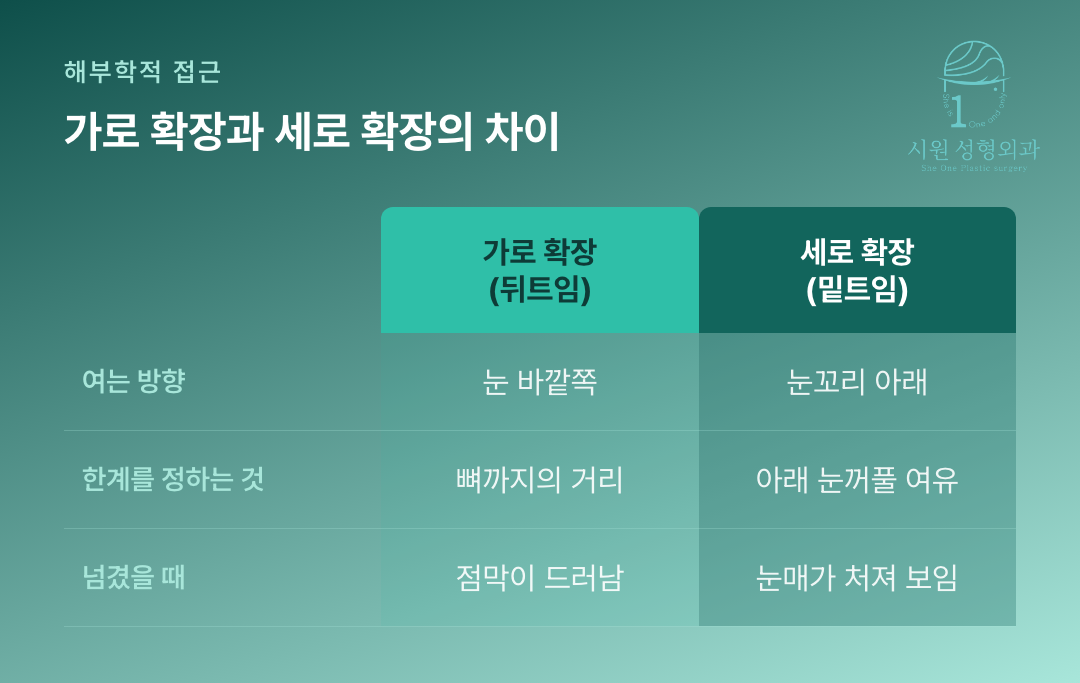 밑트임 뒤트임 비율에서 가로 확장과 세로 확장의 한계를 비교한 표