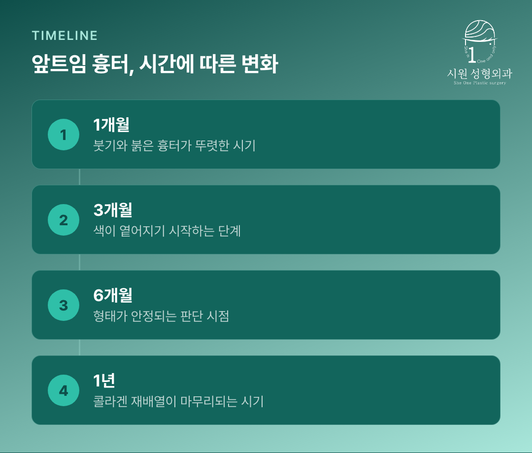 앞트임 흉터가 1개월·3개월·6개월·1년에 걸쳐 변하는 시기별 경과 표