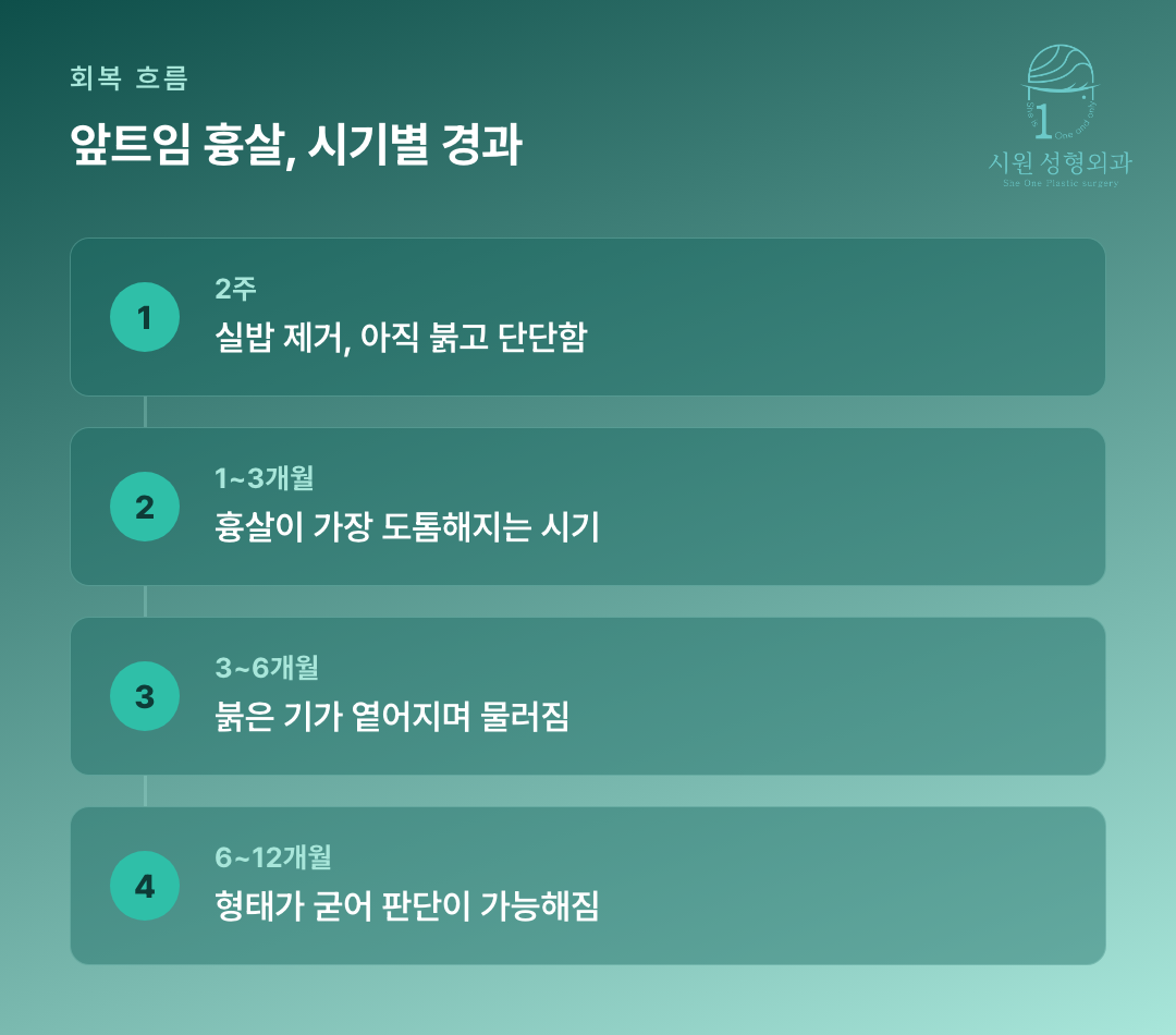 앞트임 흉살이 2주부터 1년까지 시기별로 달라지는 경과를 정리한 흐름도