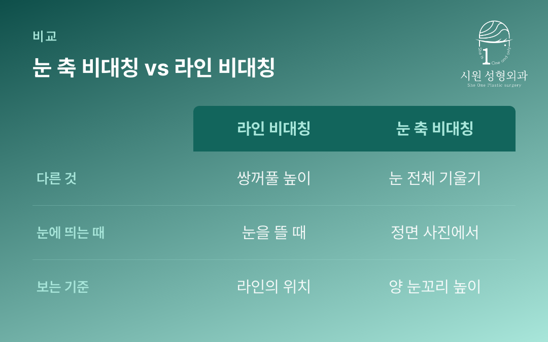 눈 축 비대칭과 쌍꺼풀 라인 비대칭의 차이를 비교한 표