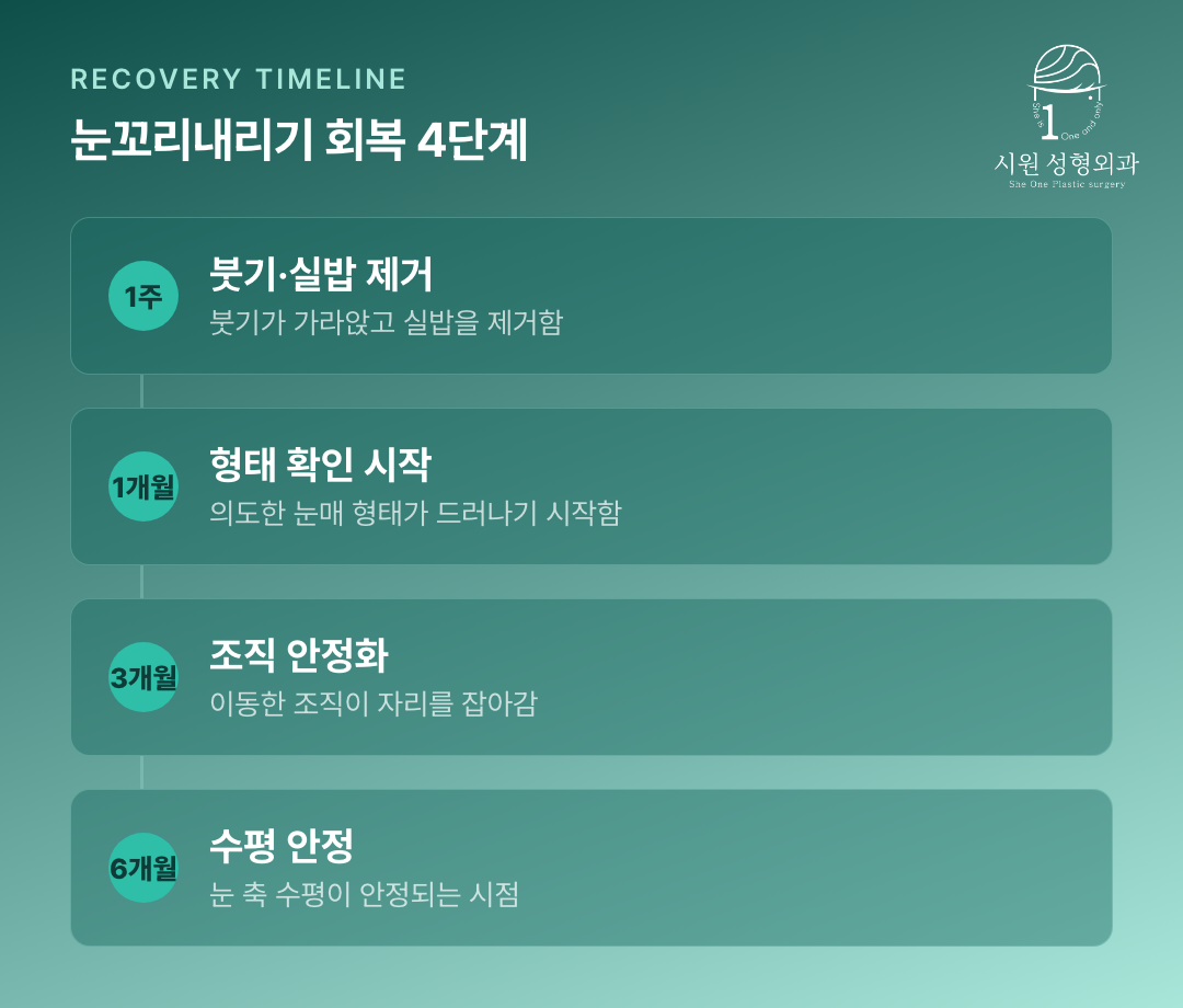 눈 축 비대칭 교정 후 시기별 회복 경과를 정리한 흐름도