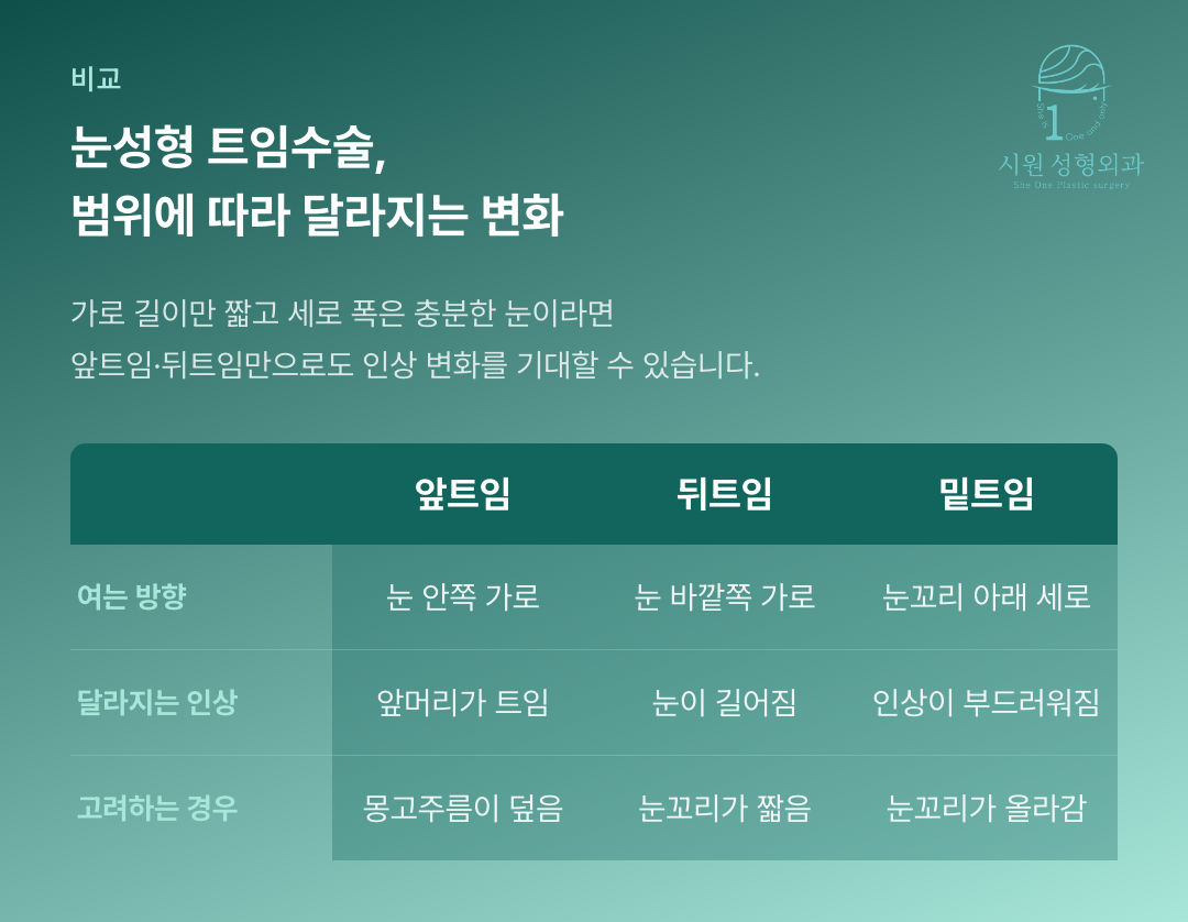 앞트임 뒤트임 밑트임이 눈을 여는 방향과 달라지는 인상을 비교한 표