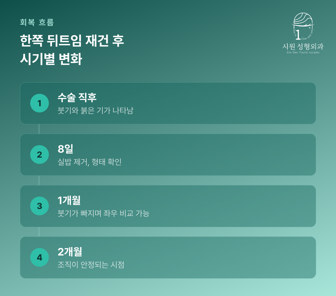 뒤트임복원 후 8일 차부터 2개월 차까지 조직 안정화 경과를 정리한 흐름도