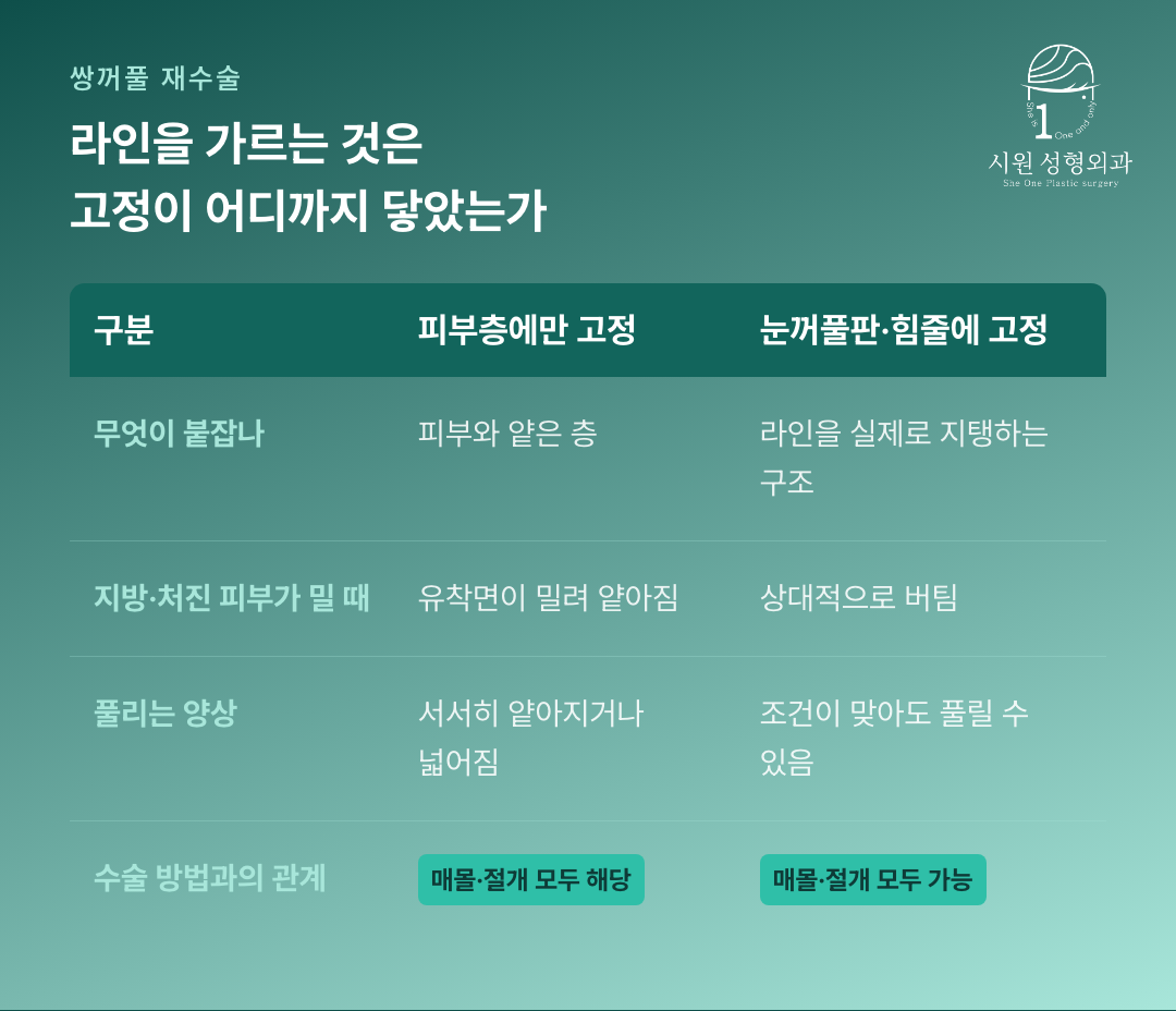 피부층에만 고정한 경우와 눈꺼풀판·힘줄에 고정한 경우를 비교한 표