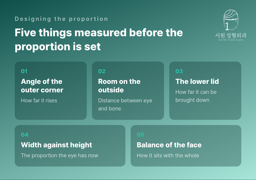 Five anatomical factors measured before setting the proportion