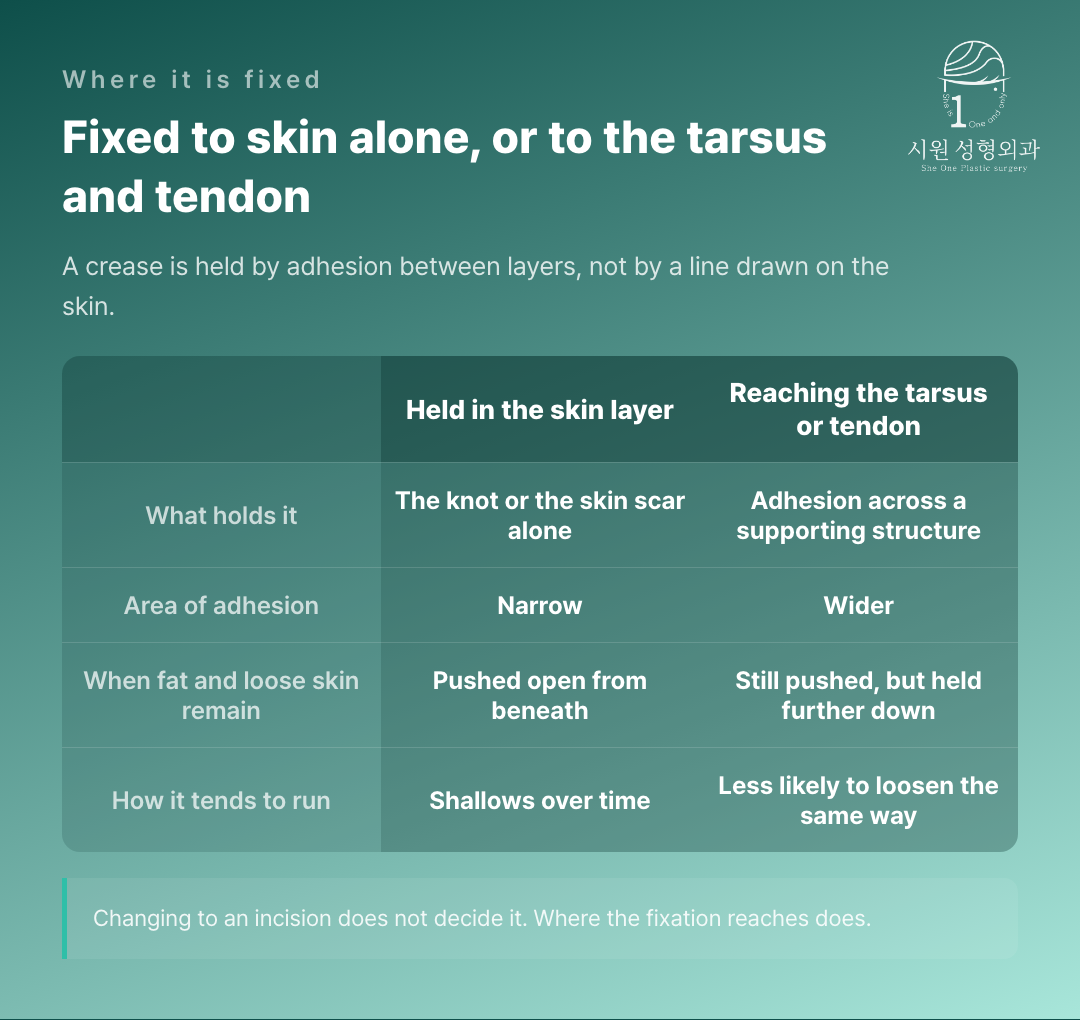Fixation held in the skin layer compared with fixation reaching the tarsus