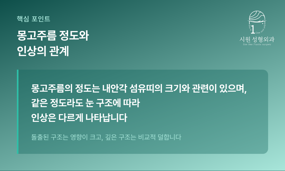 몽고주름 정도와 눈 구조의 관계를 강조한 문장 이미지