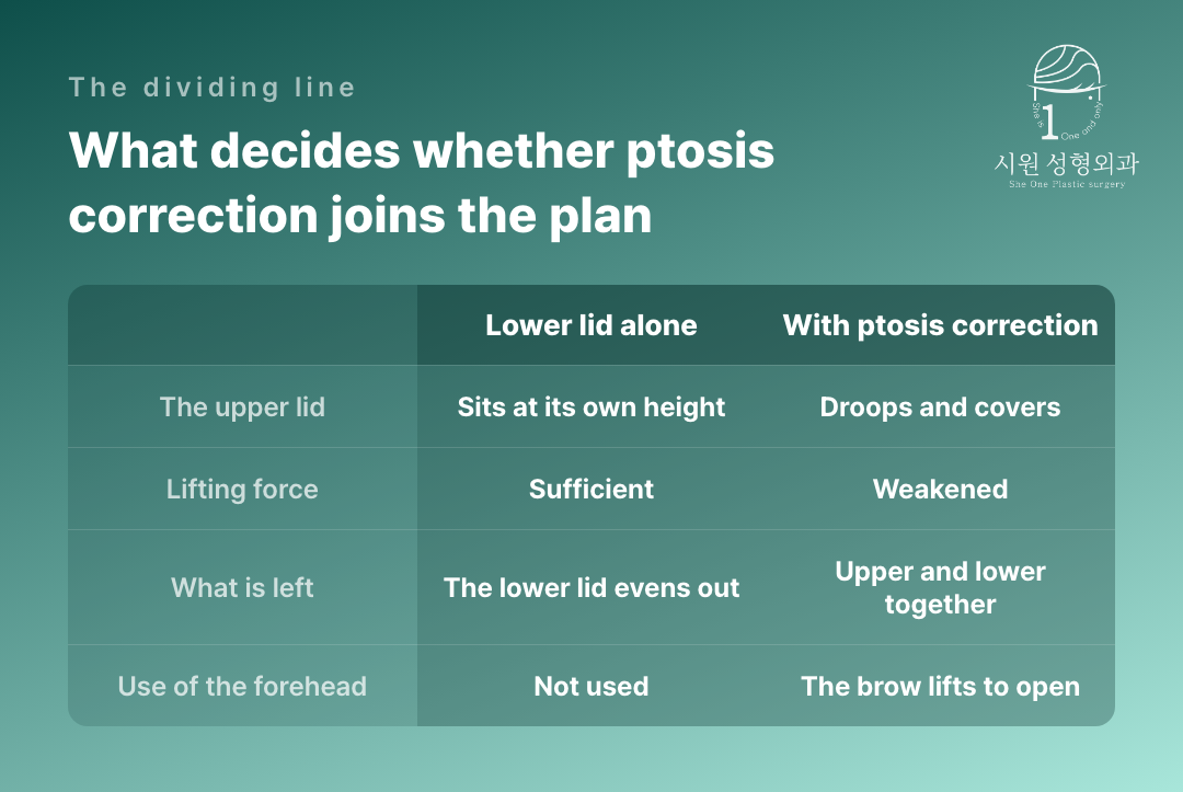 What divides a lower-lid-only plan from one with ptosis correction