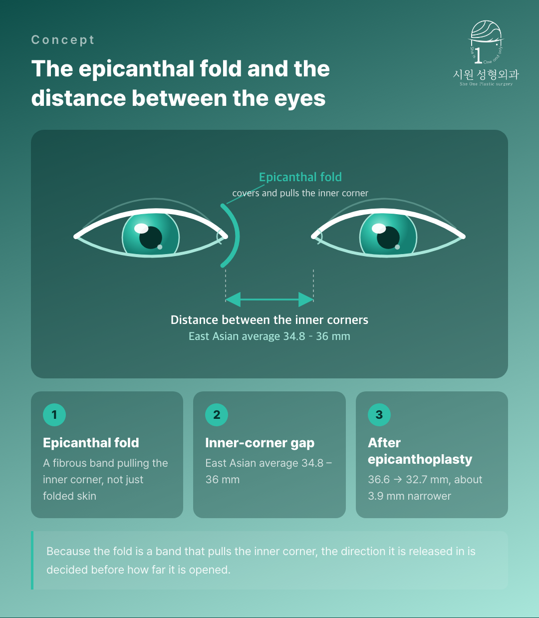 The epicanthal fold and the distance between the inner corners