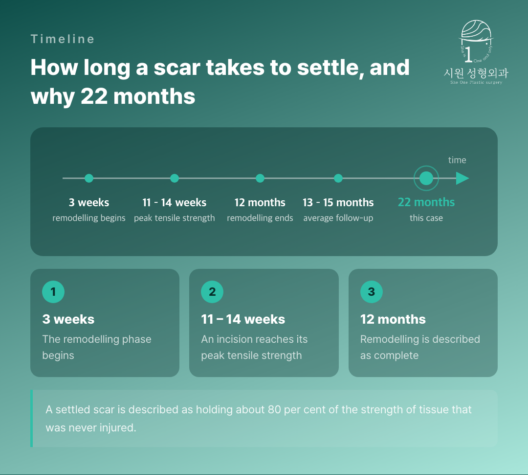 Scar remodelling timeline and the 22-month point