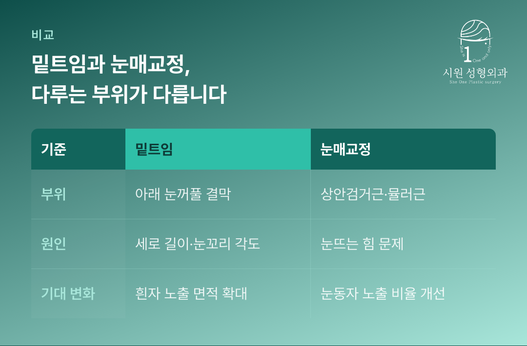 밑트임과 눈매교정이 다루는 부위와 원인을 비교한 표